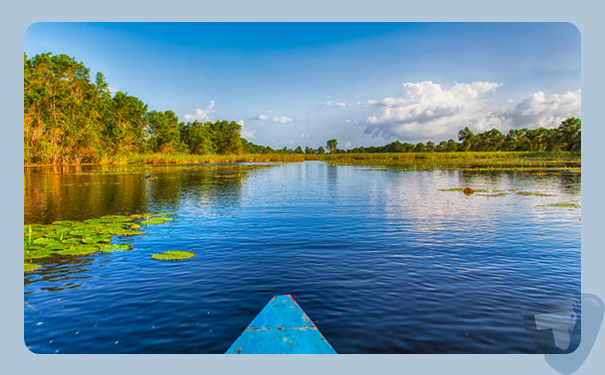 深圳到苏里南(suriname)港口<a href='https://www.taijiewuliu.com/haiyun/' target='_blank'><u>海运</u></a>需要多长时间?深圳太捷时效稳定