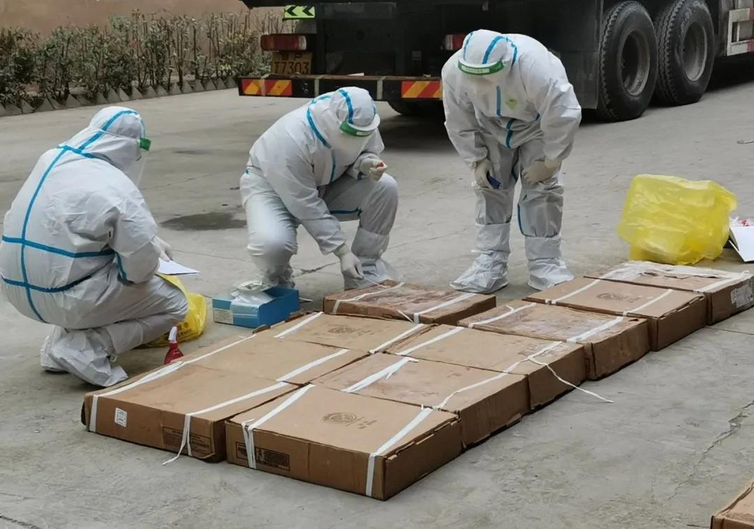 大连一批进口货物外包装检测阳性,山东、辽宁加强进口非冷链集装箱货物防控