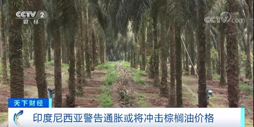 暴涨超65%！多国已出手！