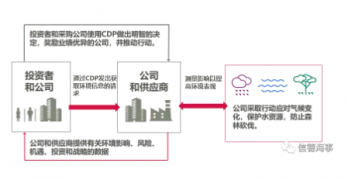 “碳揭露计划”披露：只有两家日本航运公司获A，航运业平均水平只有