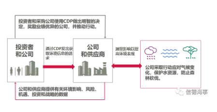 “碳揭露计划”披露：只有两家日本航运公司获A，航运业平均水平只有C