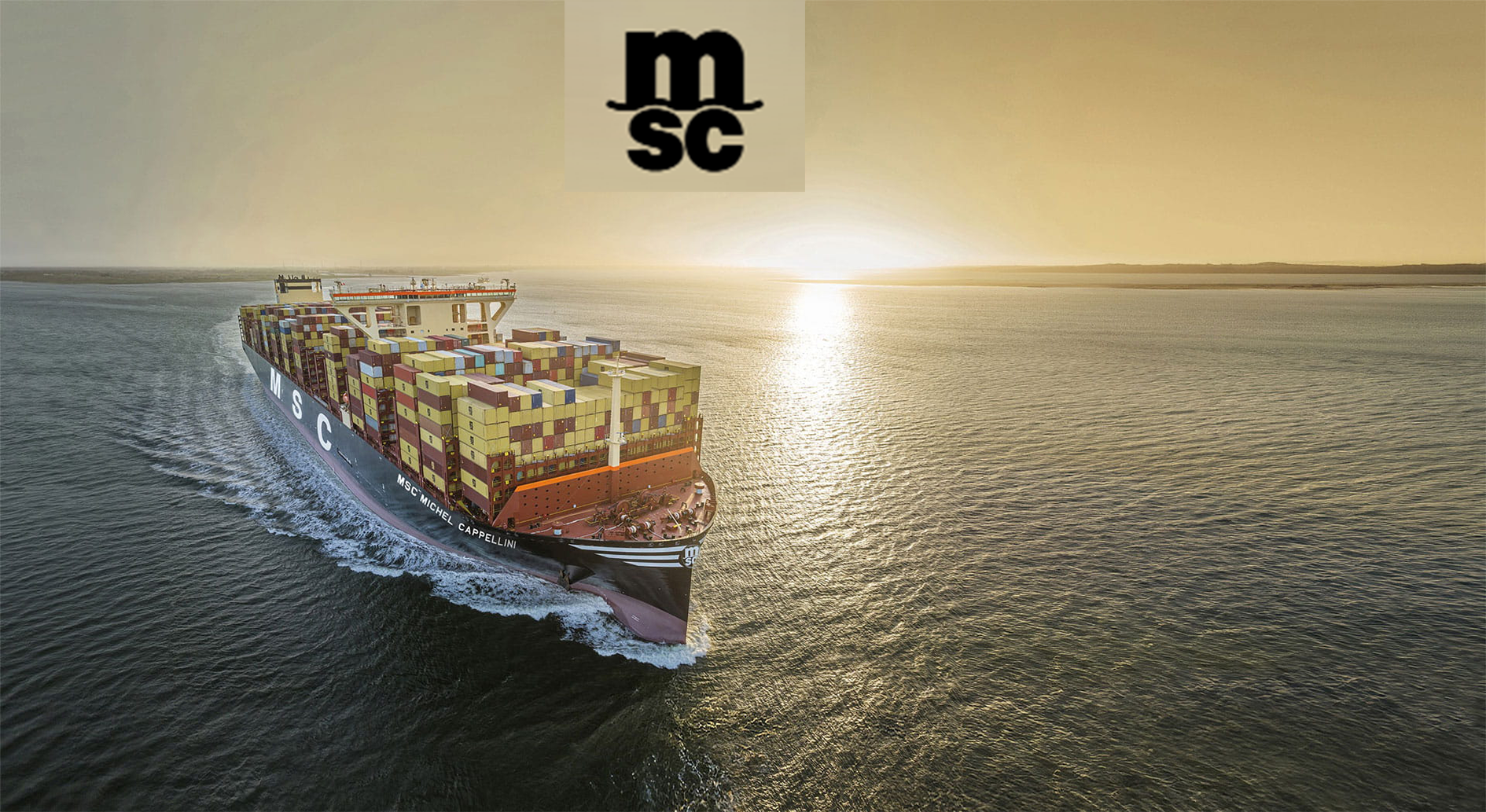 msc海运公司