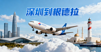 <font color='#0033CC'>深圳到根德拉空运需要多久?费用与全流程详解</font>