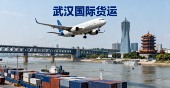 <font color='#0033CC'>武汉国际货运哪家靠谱？流程、报价与注意事项详解</font>